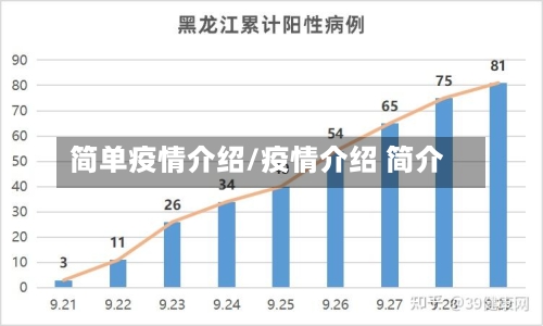 简单疫情介绍/疫情介绍 简介