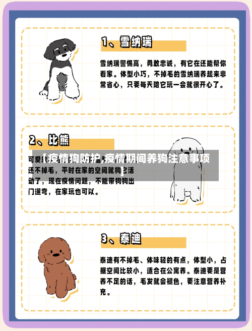 【疫情狗防护,疫情期间养狗注意事项】
