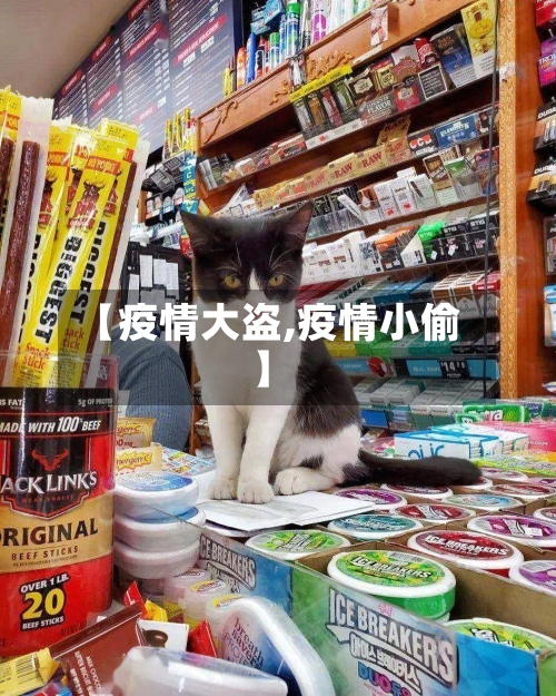 【疫情大盗,疫情小偷】