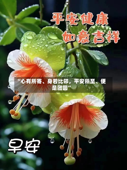 “心有所寄、身若比邻,平安所至、便是团圆”