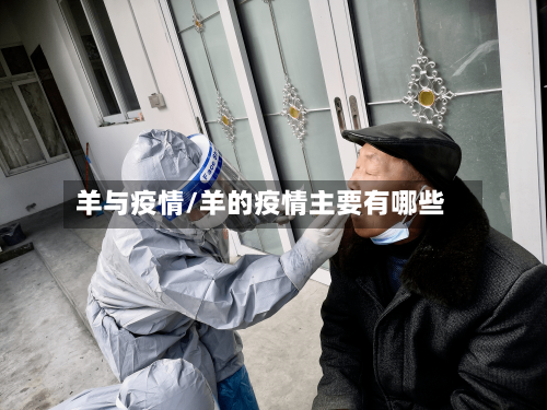 羊与疫情/羊的疫情主要有哪些
