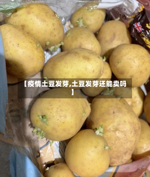 【疫情土豆发芽,土豆发芽还能卖吗】