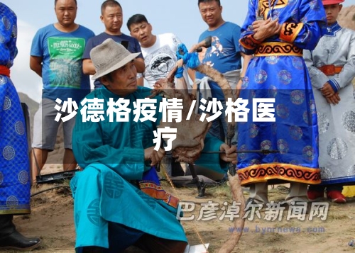 沙德格疫情/沙格医疗