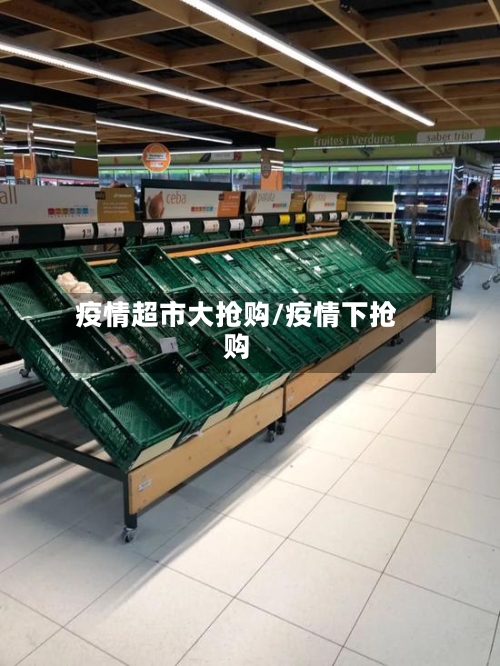 疫情超市大抢购/疫情下抢购