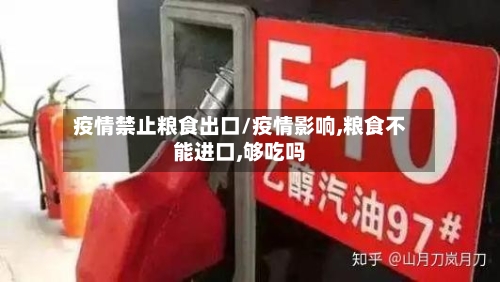 疫情禁止粮食出口/疫情影响,粮食不能进口,够吃吗