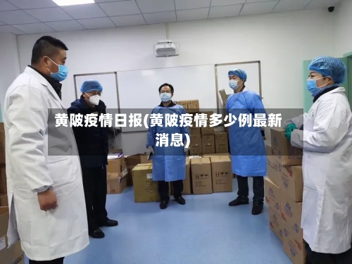 黄陂疫情日报(黄陂疫情多少例最新消息)