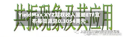 YieldMax XYZ期权收入策略ETF宣布每周派息0.3054美元