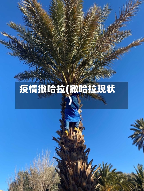 疫情撒哈拉(撒哈拉现状)