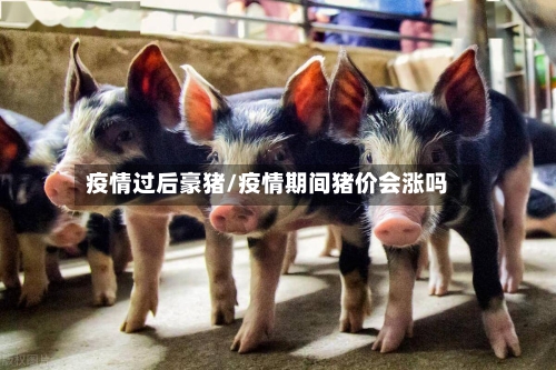 疫情过后豪猪/疫情期间猪价会涨吗