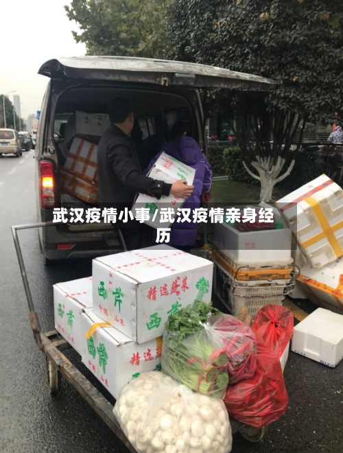 武汉疫情小事/武汉疫情亲身经历