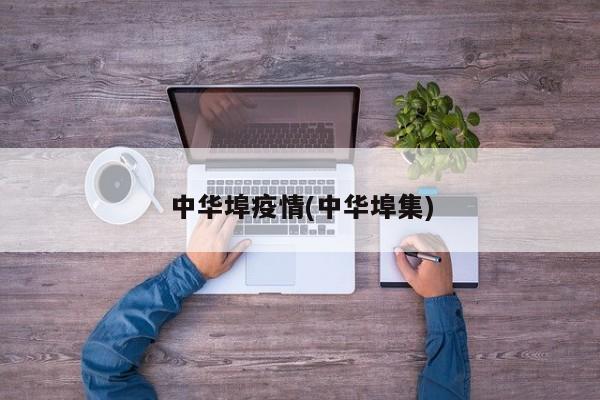 中华埠疫情(中华埠集)
