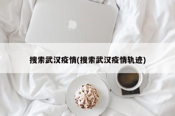 搜索武汉疫情(搜索武汉疫情轨迹)