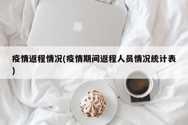 疫情返程情况(疫情期间返程人员情况统计表)